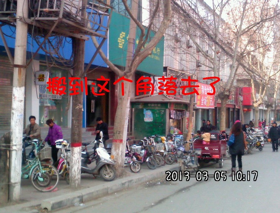 2013197.jpg