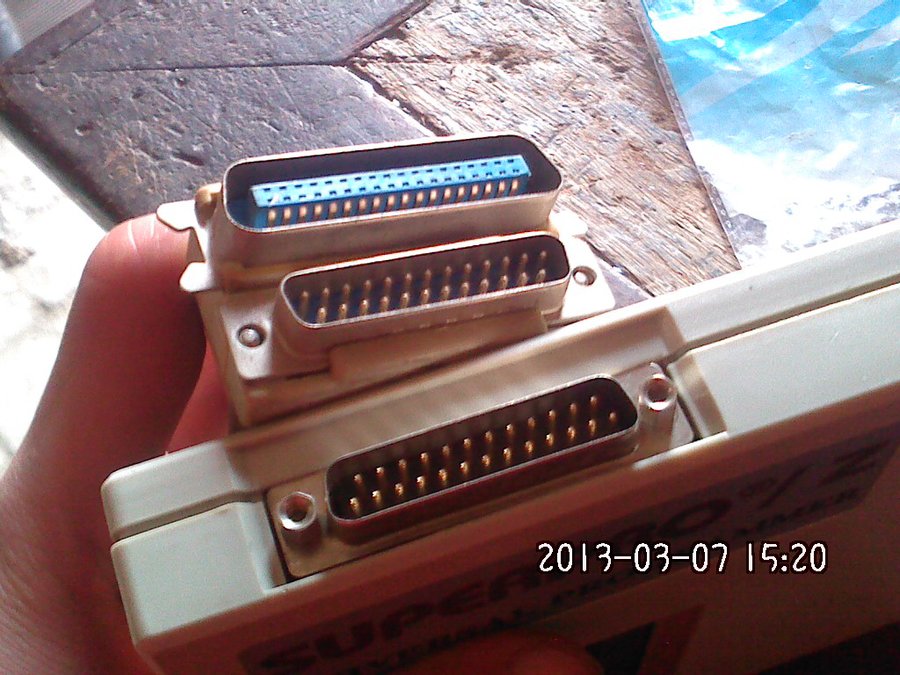 2013404.jpg