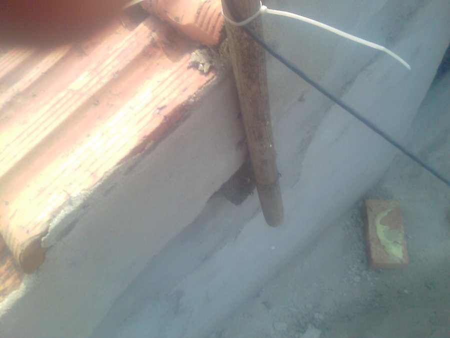 IMAG0062.jpg