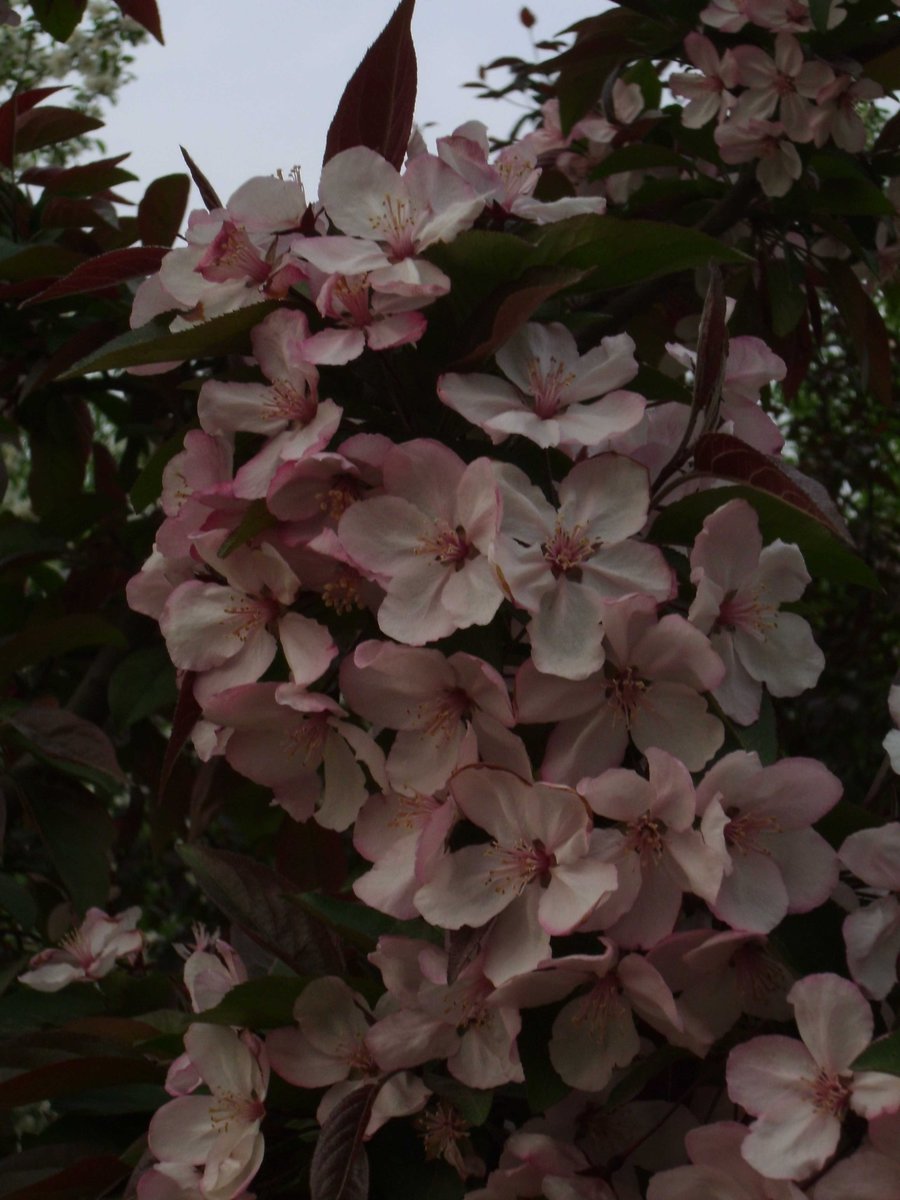 SANY0294.JPG