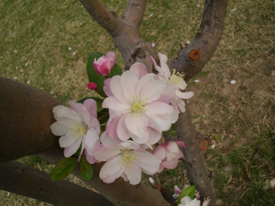 SANY0301.JPG