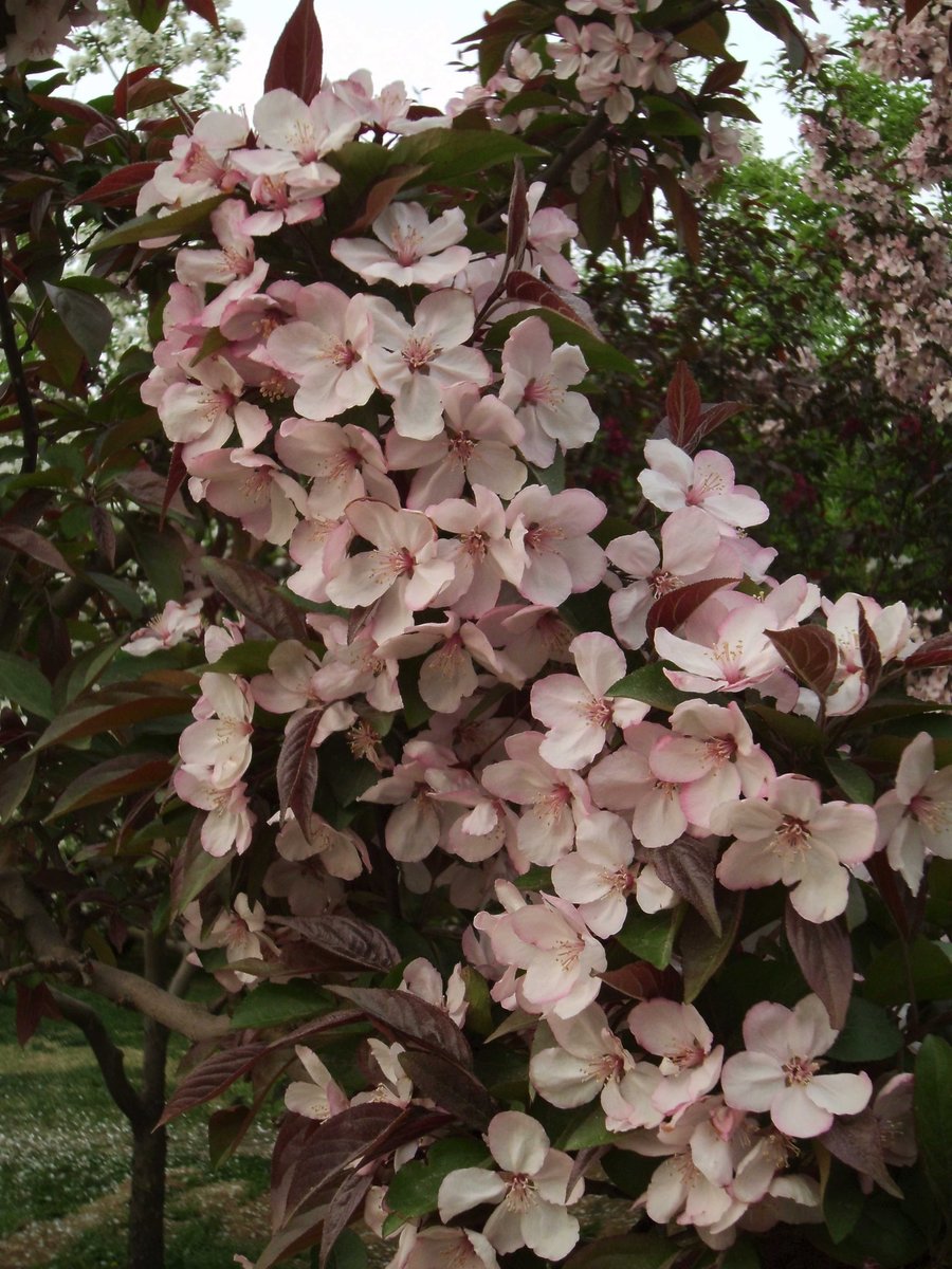 SANY0295.JPG
