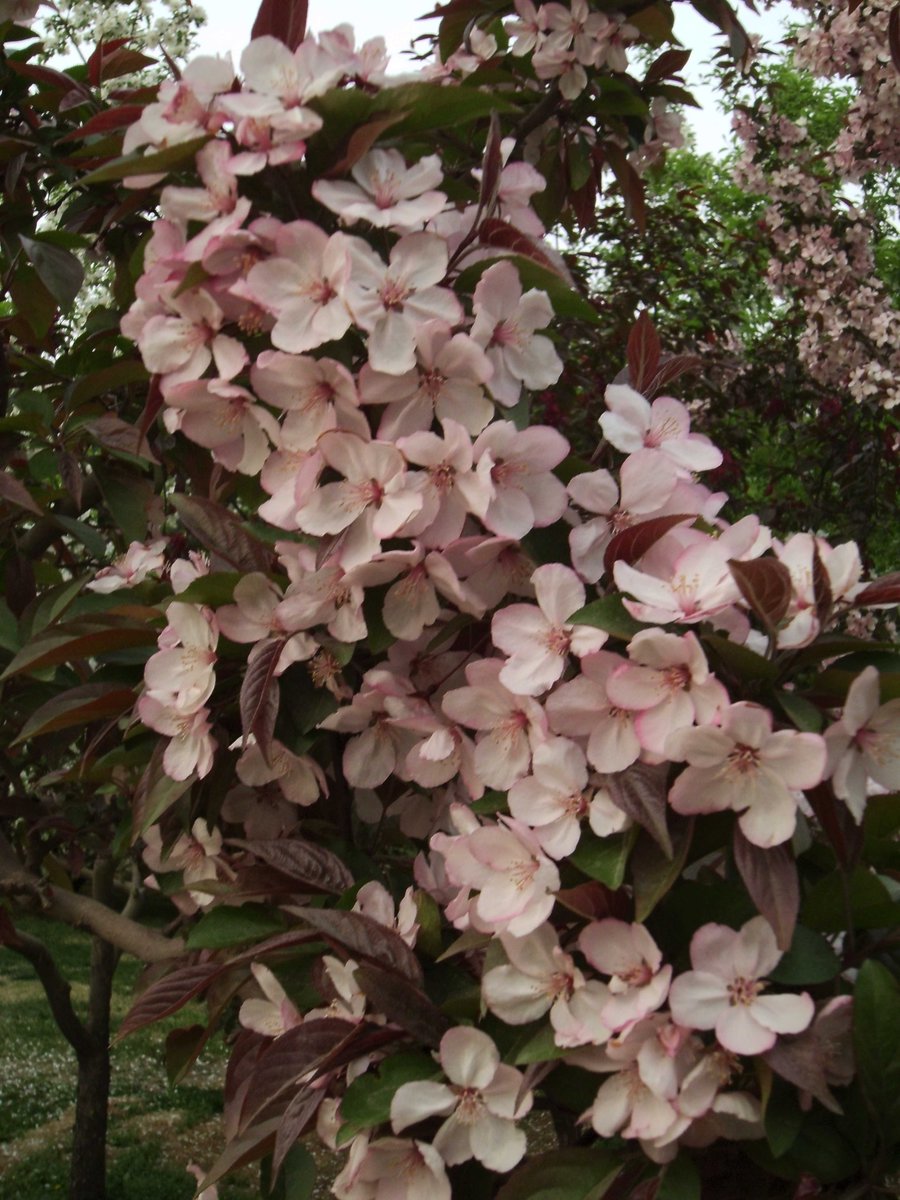 SANY0296.JPG