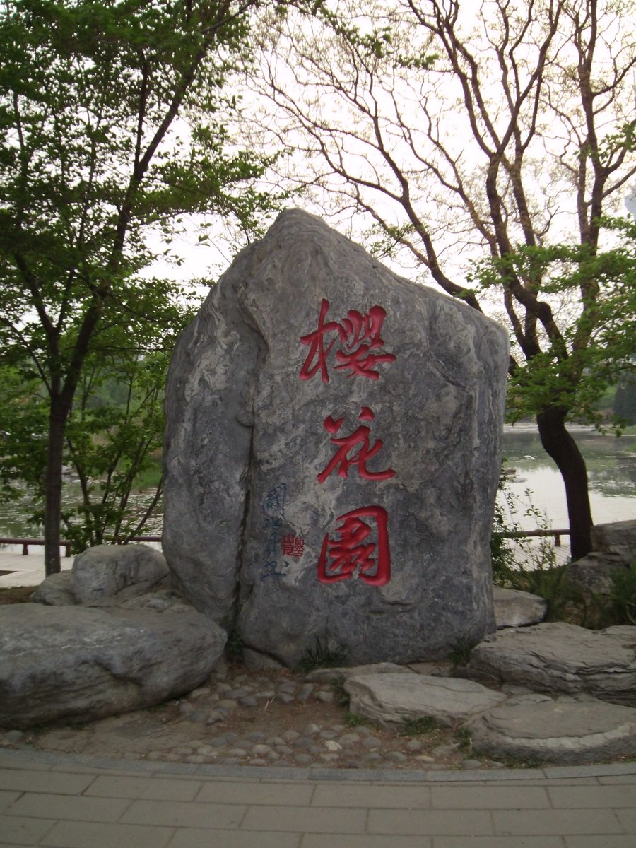 SANY0308.JPG