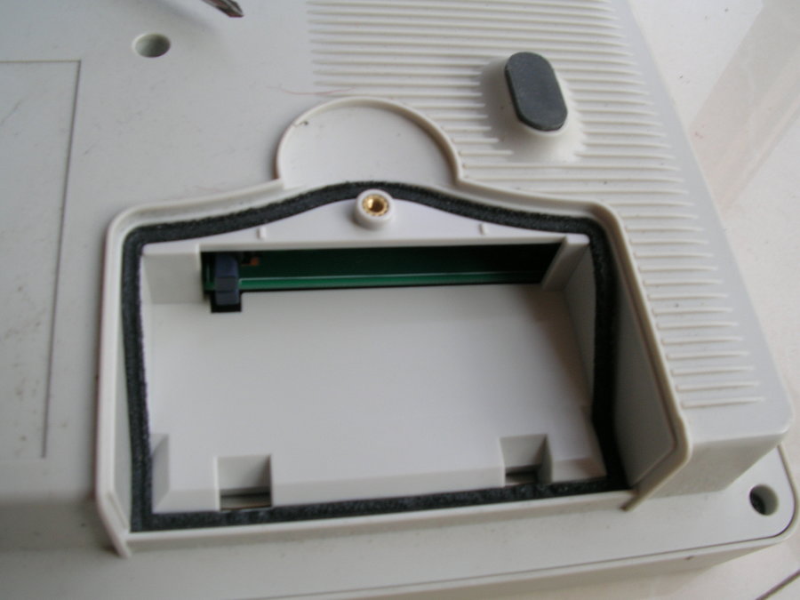 DSCN7596.JPG