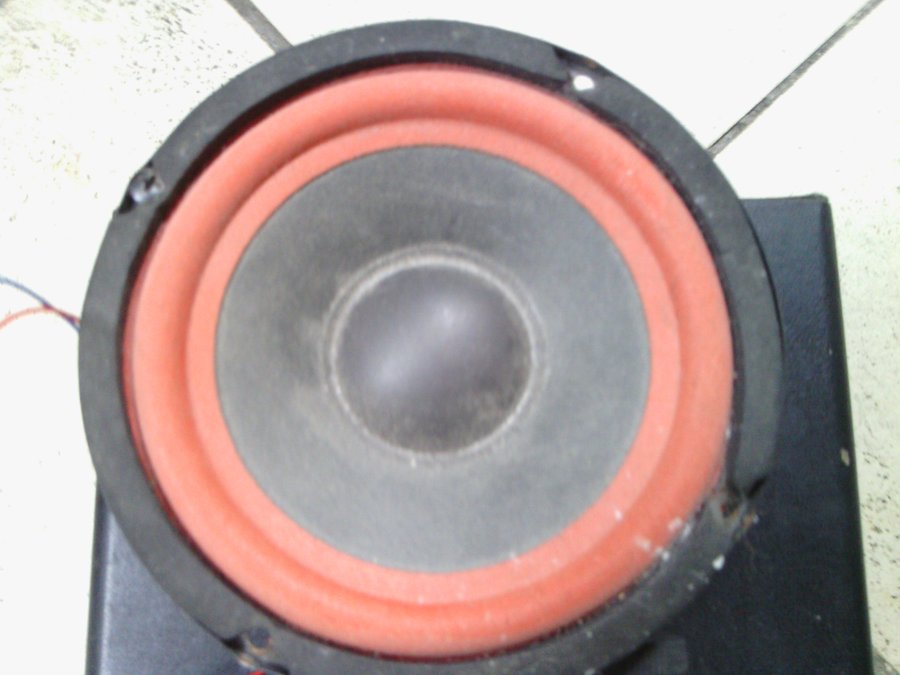 IMG_20130504_141832.jpg
