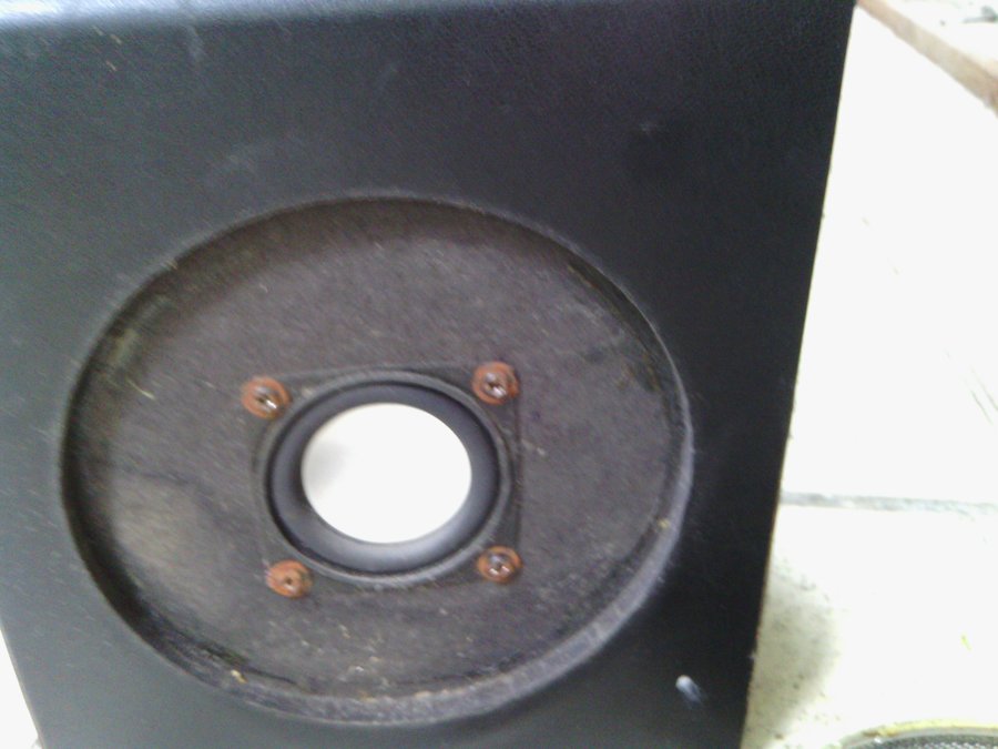 IMG_20130504_141840.jpg
