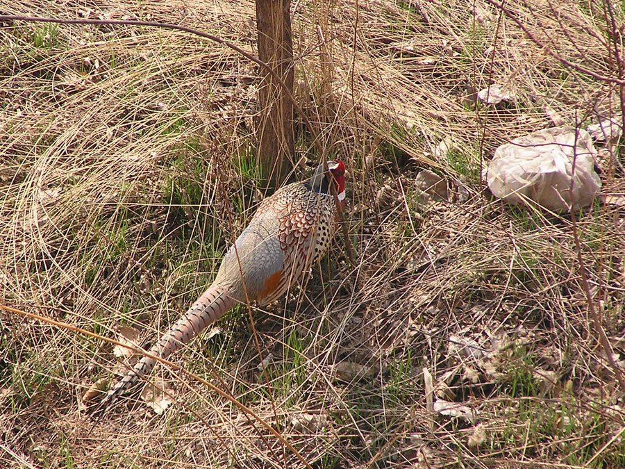P1010215.JPG