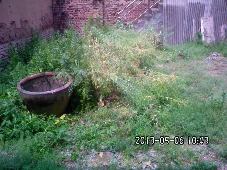 2013581.jpg