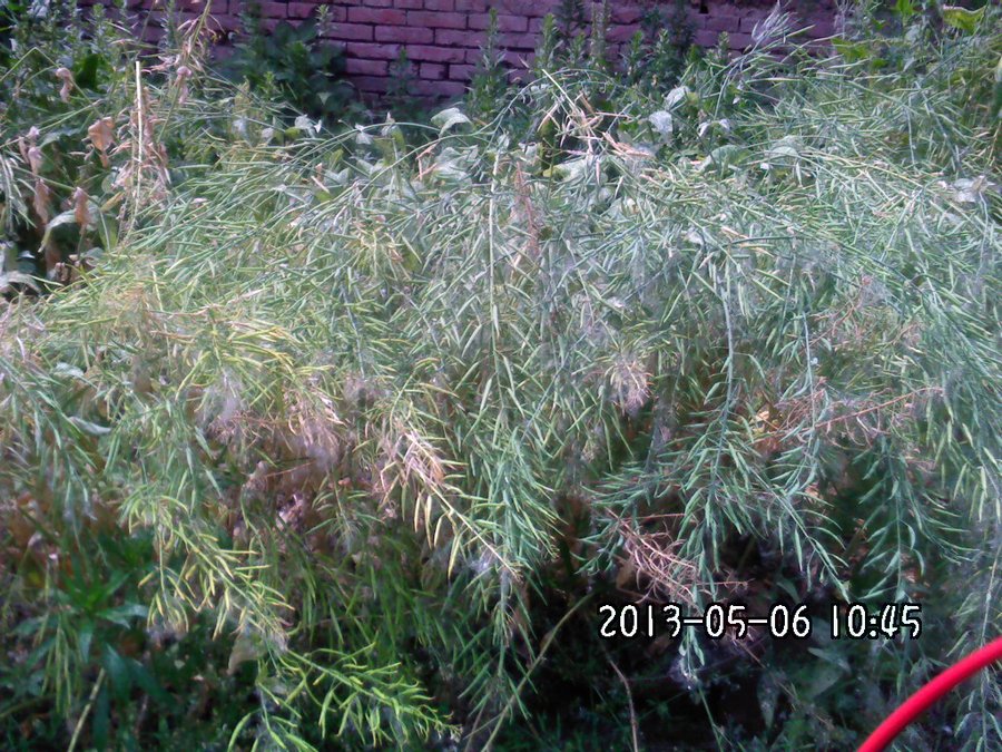 2013584.jpg