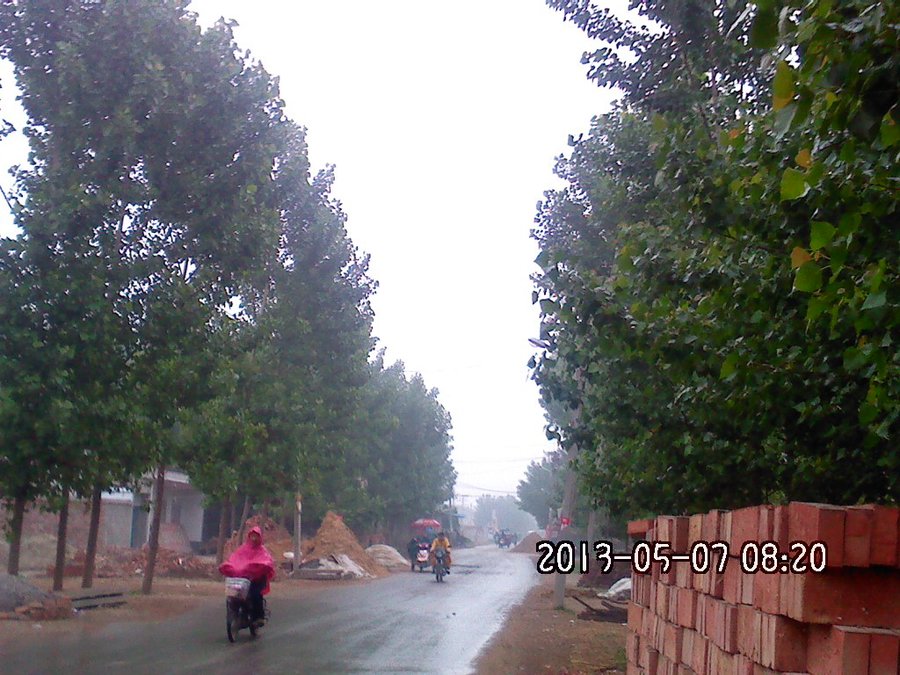 2013617.jpg