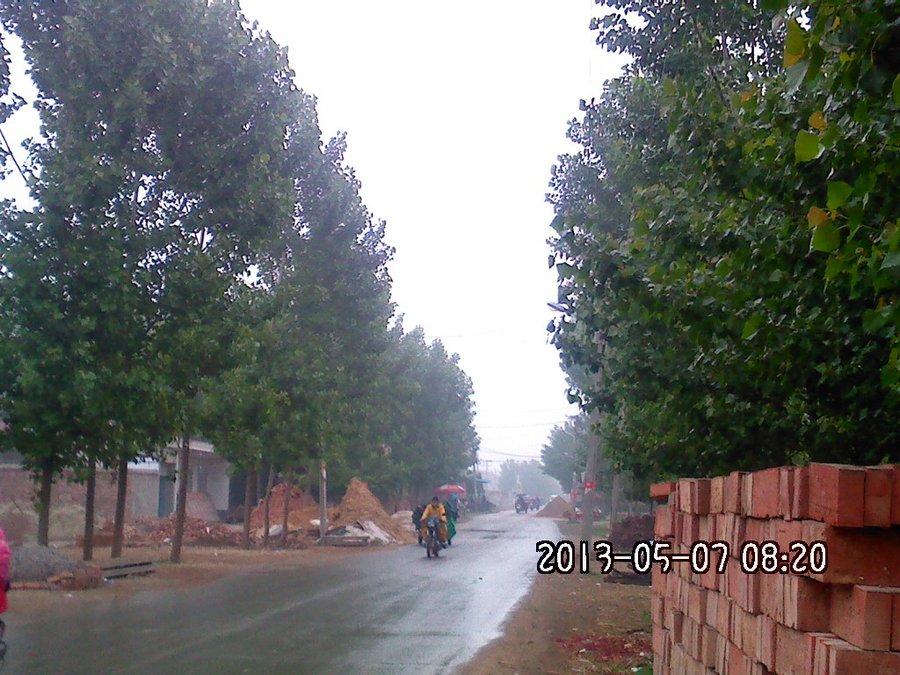 2013618.jpg