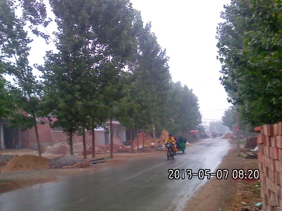 2013619.jpg
