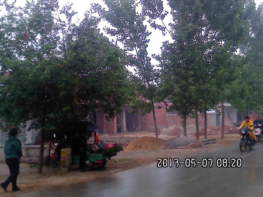 2013620.jpg