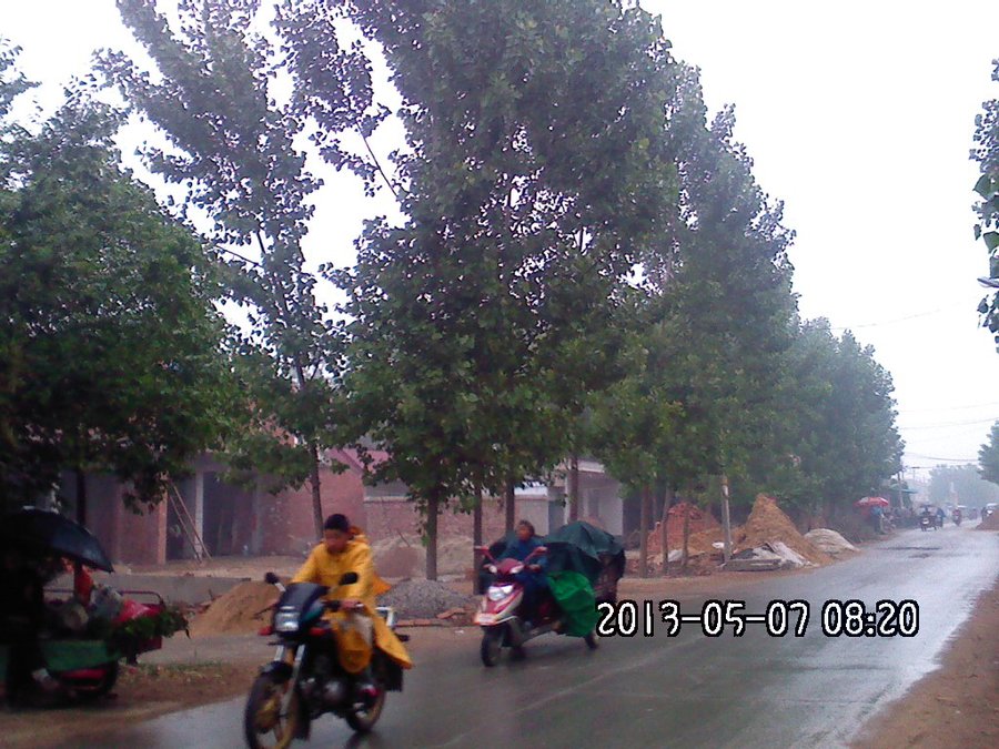 2013621.jpg