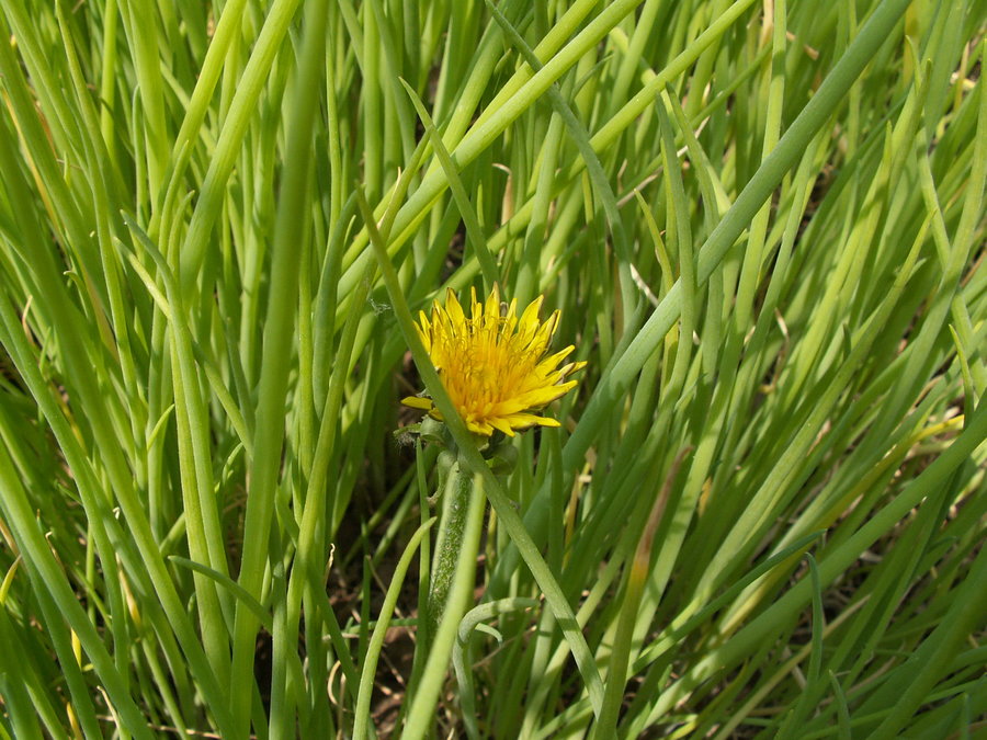 PICT1056.JPG