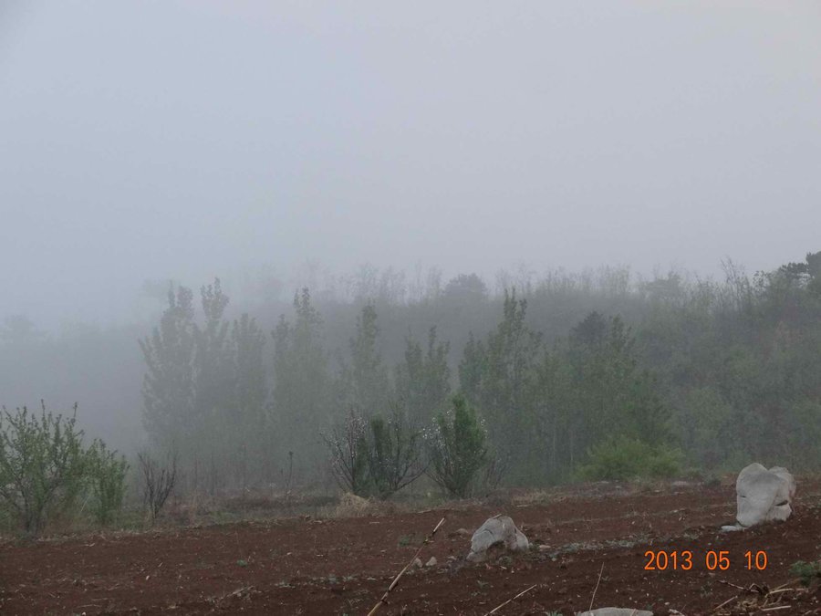 DSC00507.jpg