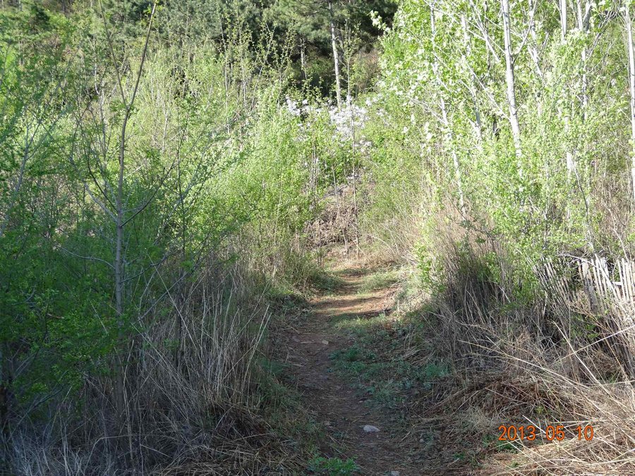 DSC00527.jpg