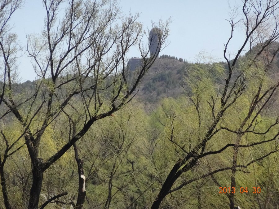 DSC00352gai.jpg