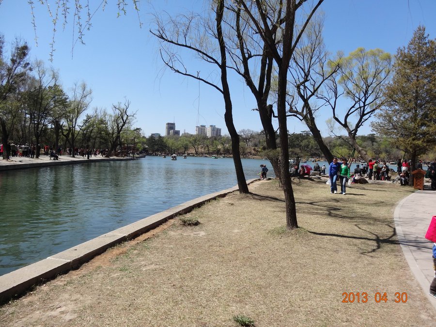 DSC00336-gai.jpg