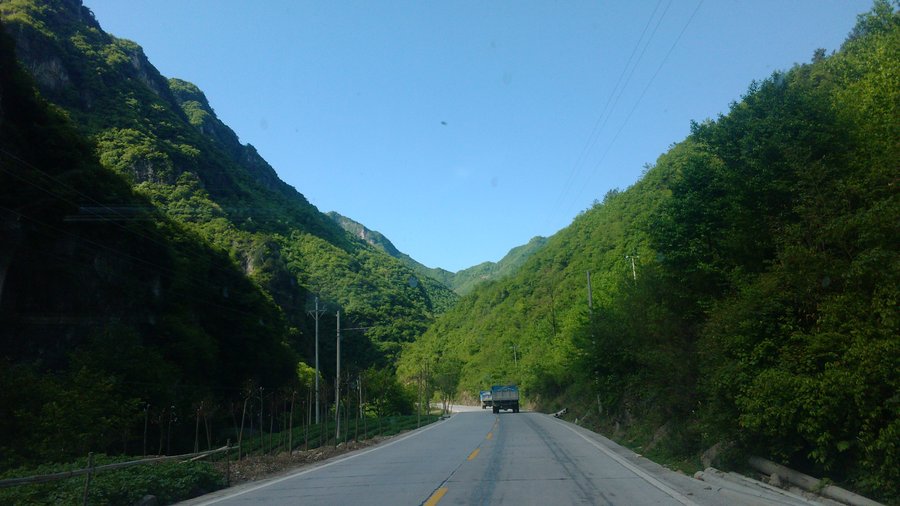 IMG_20130501_091921.jpg