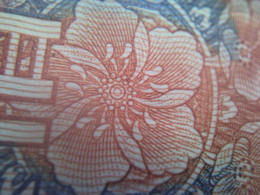 SNC00013.jpg