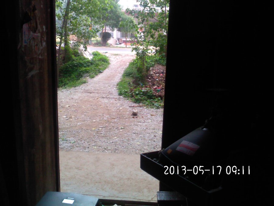 2013990.jpg