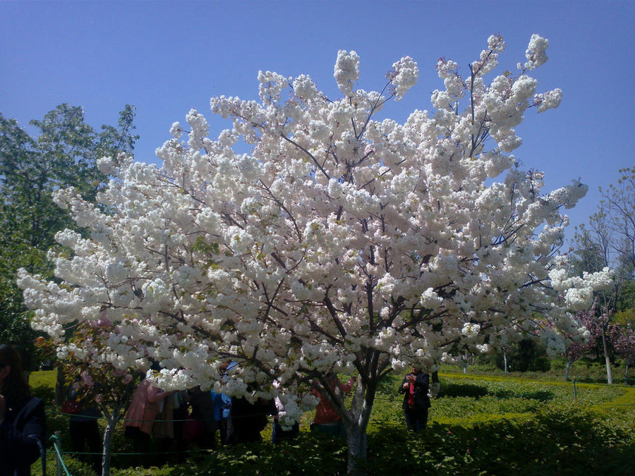 CAM00155.jpg