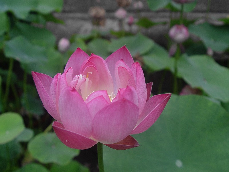 DSC02326.0.jpg