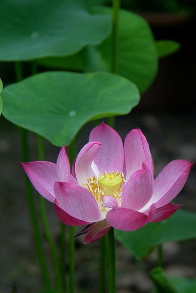 DSC02332.0.jpg