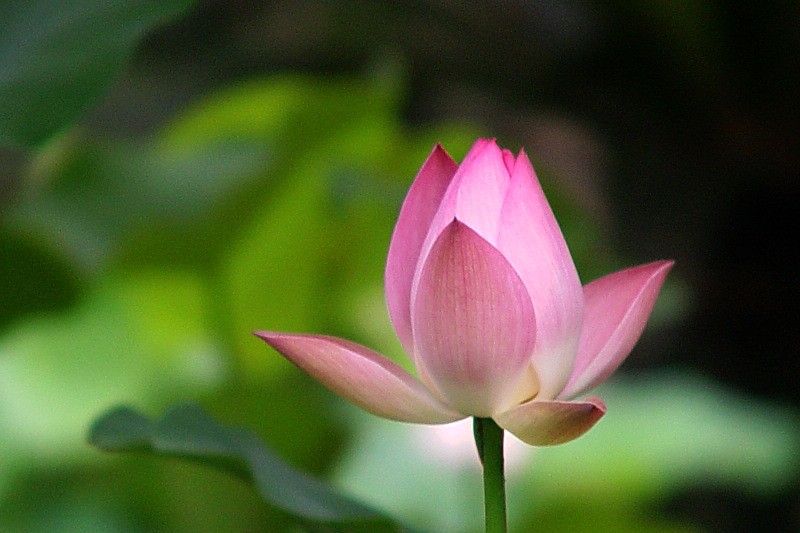 DSC02336.0.jpg