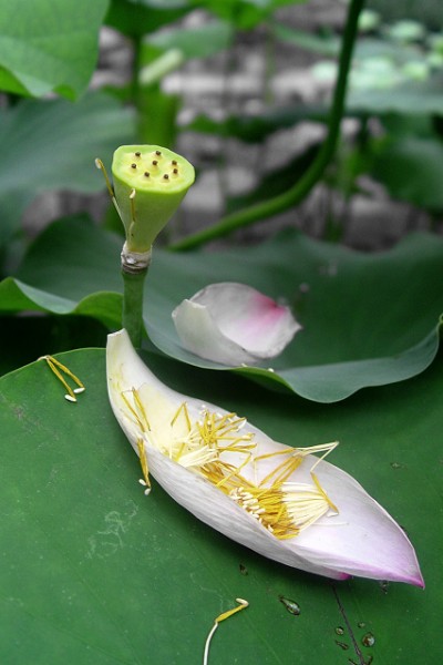 DSC02377.0.jpg