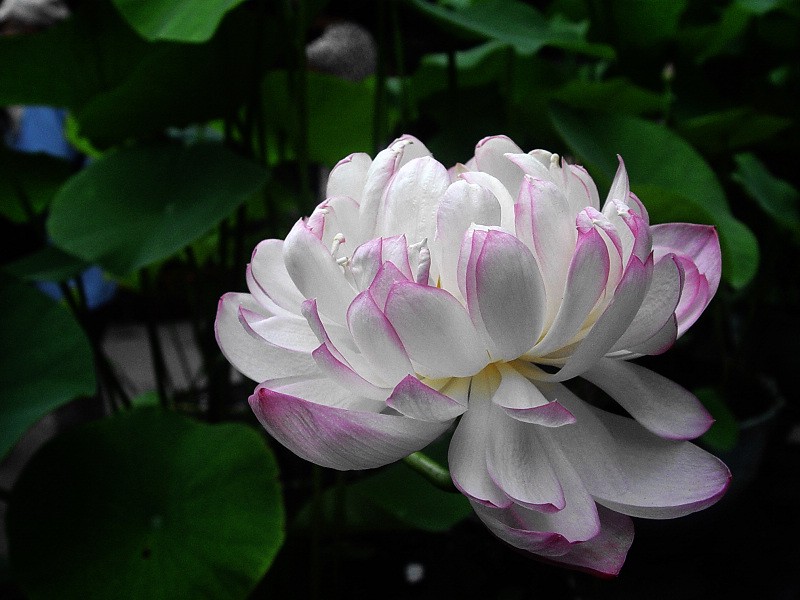DSC02419.0.jpg