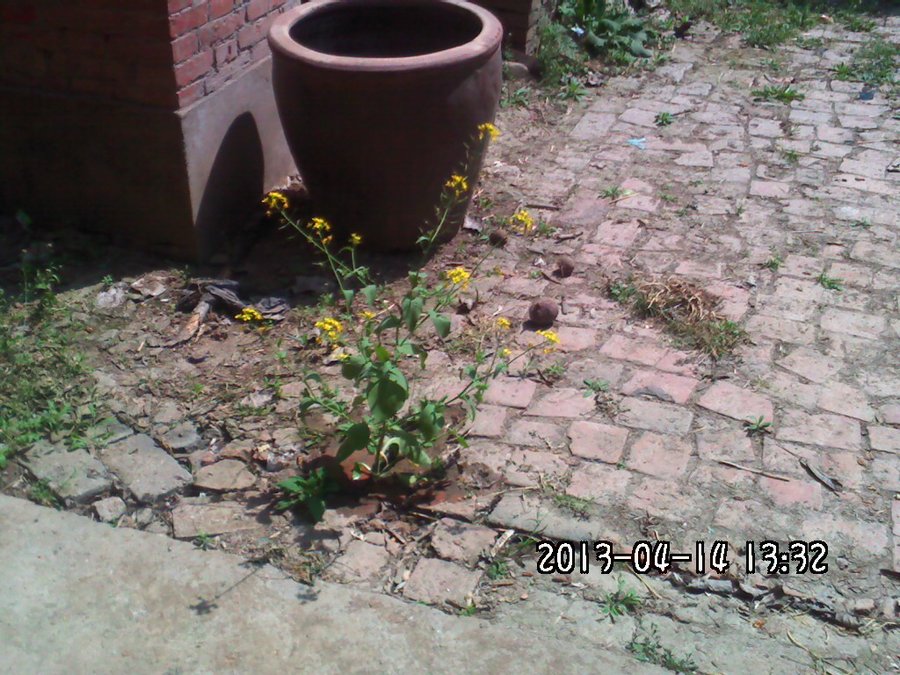 2013228.jpg