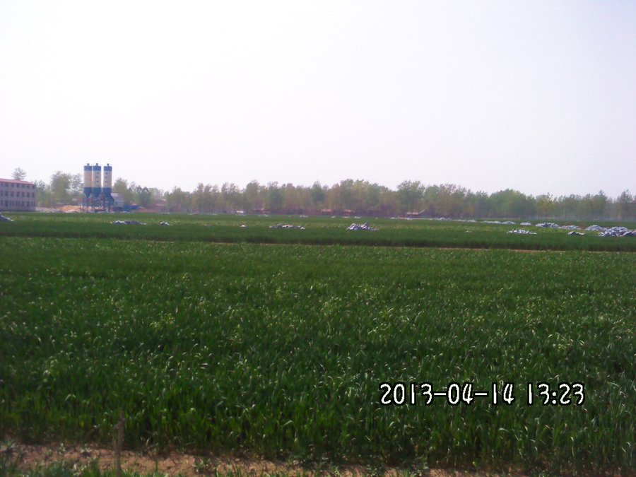 2013224.jpg