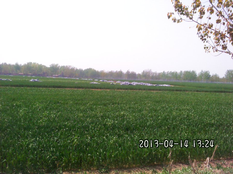 2013226.jpg