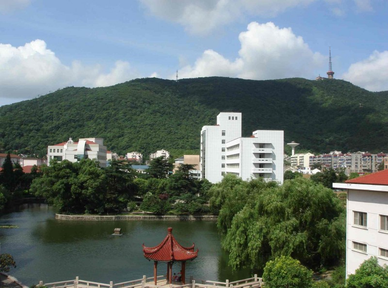 睡莲·窗外 风景.jpg