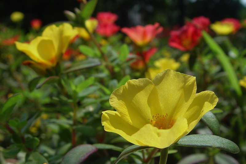 DSC02497.0.jpg