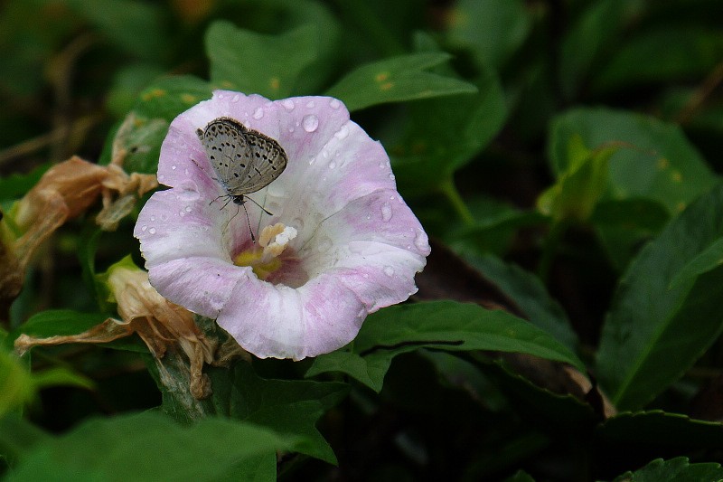 P1000336.0.jpg