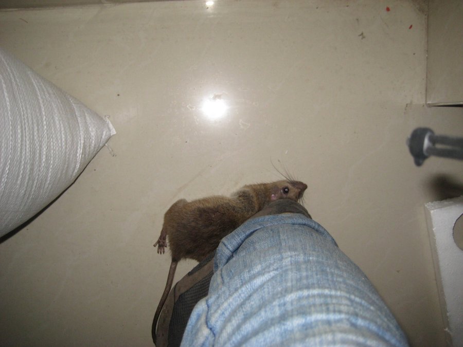 nEO_IMG_IMG_4138.jpg