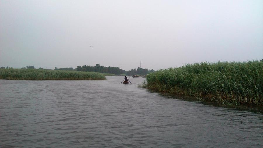 IMG_20130609_101706.jpg