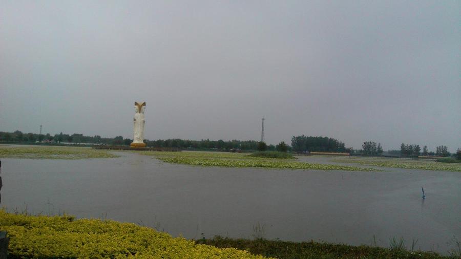 IMG_20130609_103515.jpg