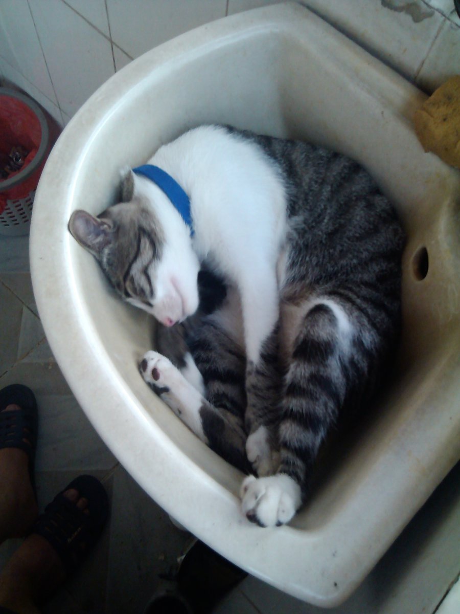 我爱家里的洗手盆