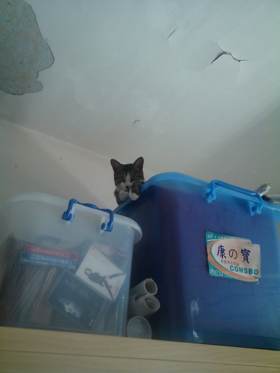 来局CS吧，俺拿大狙守着呢