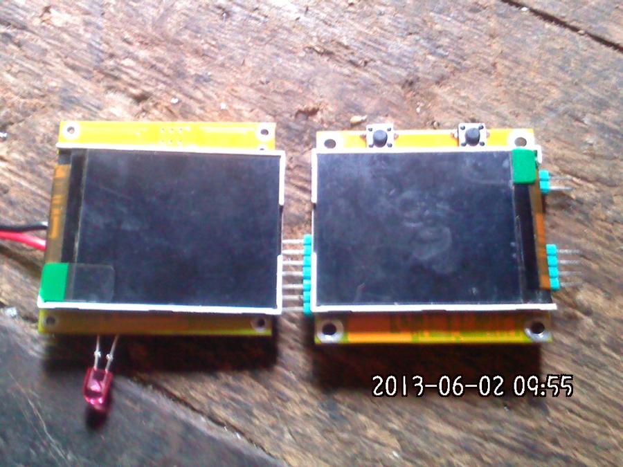 2013589.jpg