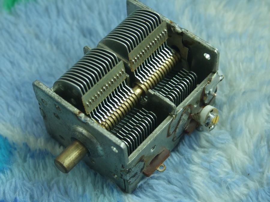 DSCF6398.jpg