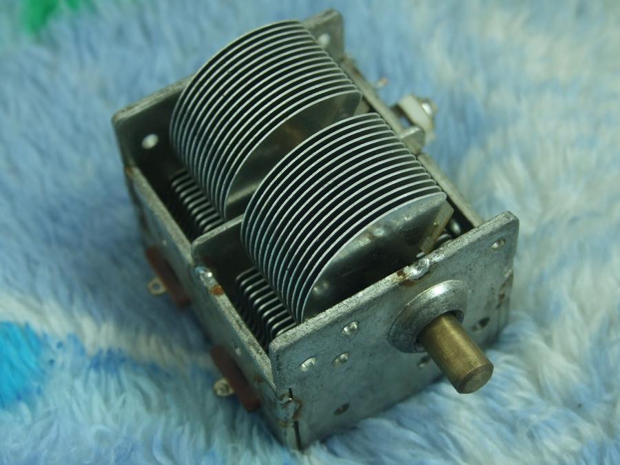 DSCF6399.jpg