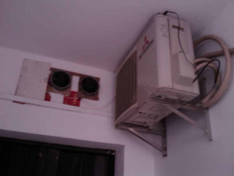 IMAG0029.jpg