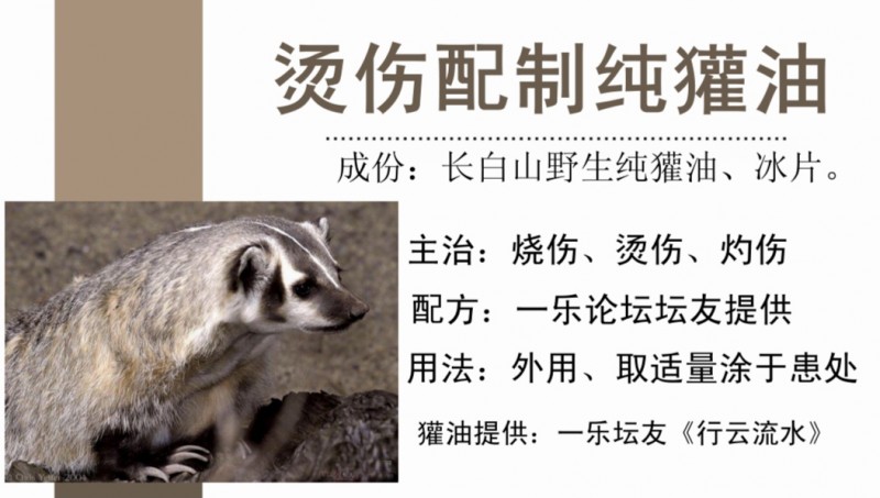 獾油说明书1.jpg