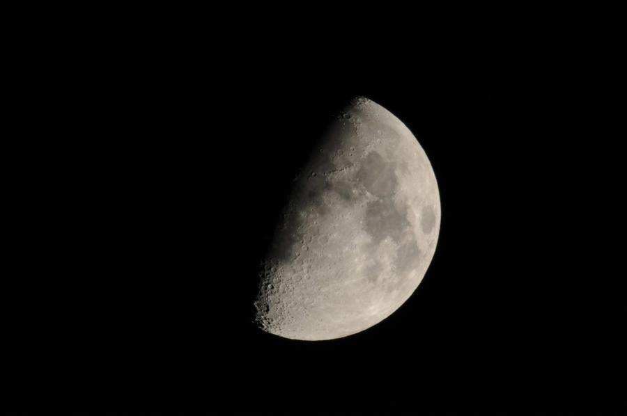 DSC_06361.jpg